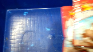 Paket 15 susu Milkuat bantal 50ml