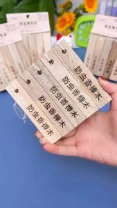 天然香樟木条(1包10条) Natural Camphorwood Strips  #家里可以放一些#香樟木条，防雾防潮防虫防异味✨，书柜，橱柜，鞋柜都能用#居家好物🌈.