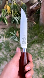 Pisau Dapur Berkualitas Tinggi: Herder Solingen Germany & Cap Garpu Lokal