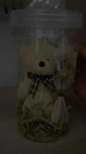 Kado Aesthetic Unik/Lampu Boneka Buket di dalam toples/Hadiah unik/kado Bestie/Hadiah wisuda