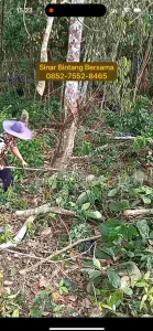 Mesin Potong Rumput 2 Tak Komplit Penyiang Gulma + Chainsaw Potong Kayu Multifungsi