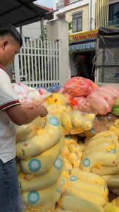 Gấu Bông Gà Vàng - Gà Ôm Dài Cute  Gía sỉ Tại Xưởng