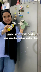 Sonic Pembersih Kulkas Anti Bakterial 250ml Pembersih Serbaguna