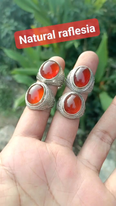 NATURAL CINCIN RAFLESIA BENGKULU