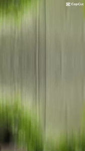 Nắp Lưng S22 Ultra 5G / S908 zin mới thay mặt lưng điện thoại Samsung s22ultras908 hàng chuẩn giá tốt