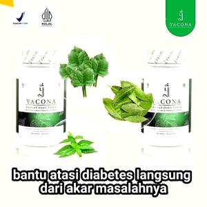 Yacona – Obat Herbal Diabetes Atasi Turunkan Gula Darah Tinggi Terbaik