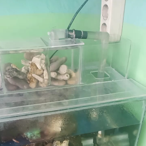 Aquarium Bok Filter Akrilik Bening & Custom