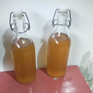 Air kombucha 500ml
