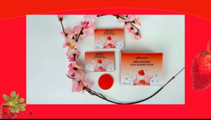 1 bok isi 10 PCS sabun HERMI0NE