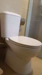 AALTO AL8020 Rimless 2-Piece Toilet Bowl WC | S-Trap 150/250mm | P-Trap 180mm |