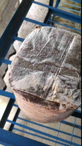 Mushroom Grow kit (XXL) HIGH YIELD! #mushroomfruitingbags #mushroomgrowkit