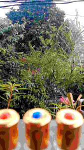 Parfum Vanilla Non Alkohol (3 ml)