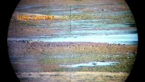 Jontrot Belibis Kembang Asli: Hiburan Tradisional untuk Anak