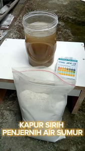 ( 1 KG ) PENJERNIH AIR SUMUR | KAPUR SIRIH PENJERNIH AIR