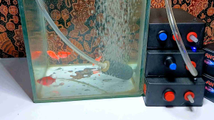 aerator ces durasi 12 24 40 jam airator ces bonus selang + batu gelembung