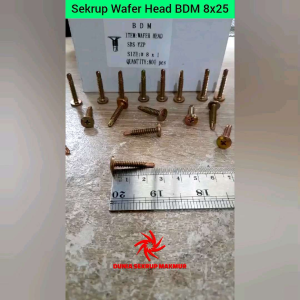 (100 pcs) Sekrup Roofing Wafer Head SDS #8x25 / Skrup Wafer Head 2.5CM