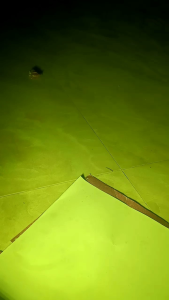 Đèn gầm led siêu sáng xe Ford transit Focus Hon Da Mitsubishi Suzuki swift.