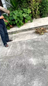 ไม้กวาดตาดกรรมฐานไม้กวาด เป็นด้ามไม้กลึงเนื้อแข็งอย่างดี ซึ่งมีลักษณะน้ำหนักเบา จับเหมาะมือค่ะ ไม่มีมอด