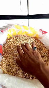 Serbuk Kayu Untuk Hamster