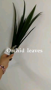 DAUN ANGGREK PANDAN 30CM BAHAN LATEX TANAMAN ARTIFICIAL