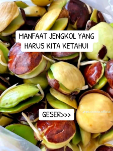 Jengkol Tua / Sepi Super