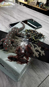 1PCS - PLASTIC FAKE SPIDER CAT TOY MAINAN KUCING LABAH LABAH