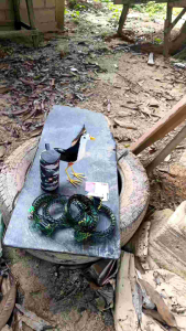 ชุดดักนกกวัก 21บ่วง กับ ดักนกกวัก บ่วงดักนกกวัก ที่ดักนกไก่นา ต้นทุนเพียง บริษัท อุปกรณ์ต่อนก ใช้จ่ายต่อติดเร็วได้ผลจริง พร้อม | 2 ใบเสีย