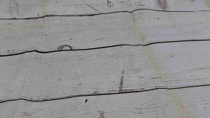 Dompet sarung remote mobil gantungan kunci mobil motor dompet stnk Oval