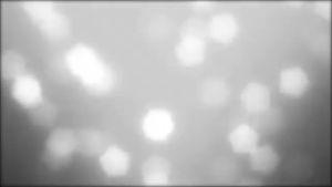 COMPLETE BODY NUTRIENT SERIES บำรุงผิวกาย 3 ขั้นตอน มอบผิวกายที่เนียนนุ่ม สะอาดกระจ่างใส CelebSkinHappiness