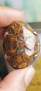 Cincin Batu Natural Batu Unik Langka bentuk Kura kura