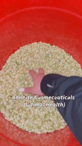 [LOẠI 1] Nụ Hoa Nhài (Hoa Lài) Sấy Lạnh Nụ Nhài Nguyên Chất Sấy Khô Trà Nụ Nhài - Optimal Health