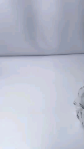 Jimshoney - CARLINA BAG Tas Slempang Wanita Elegan