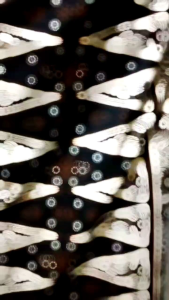 [ TERLARIS ] Sarung Batik Gus Idam Viral Printing Pekalongan Premium Quality Dewasa Pria - Katun Kain Mewah Motif Tenun