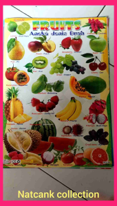 poster edukasi pengenalan makanan Tanaman buah buahan dan sayuran