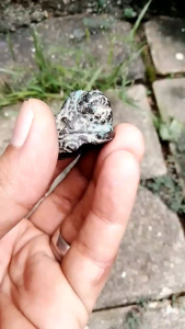 Cincin kuno motif ular