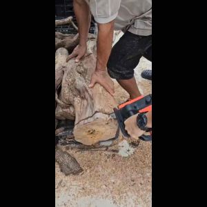 เลื่อยโซ่ไฟฟ้า STR บาร์โซ่ 11.5 นิ้ว สายยาว 10 เมตร