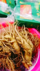 TERMURAH Gingseng merah Korea