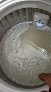 Pembersih Tabung Mesin Cuci (Cleaner Washing Machine)