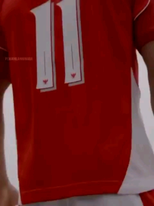 JERSEY TIMNAS INDONESIA PIALA DUNIA 2026. DEWASA
