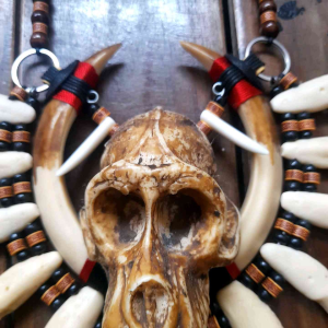 Kalung Tengkorak Monyet Suku Kalimantan - Aksesoris Primitif Etnik