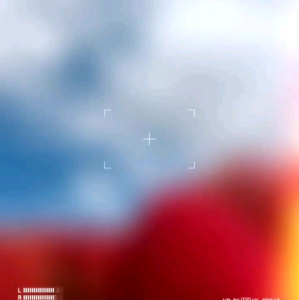 (KEMASAN PREMIUM) BIJI | BENIH BUNGA BASSIA SCOPARIA | KOKIA
