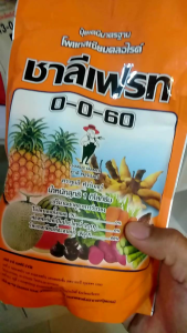 0-0-60 ชาลีเฟรช ลดลง ปุ๋ยเกล็ด 1 กก. สูตร มันลงหัว เพิ่มผลผลิต