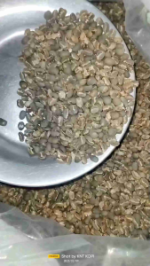 KOPI ACEH GAYO ARABIKA 500gram TERMURAH BUBUK murni