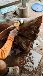 รากไม้โบราณ1ท่อนเนื้อแดง8.108ก ก.กมีกลิ่นหอมชื่นใจพบใต้คลองน้ำลึกของเก่า