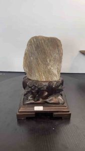 TSK Crystal SHY023 天然树化玉 黄里透白 色泽圆润 特制雕刻实木底座 Natural Tree Fossil Jade