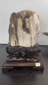 TSK Crystal SHY028 天然树化玉 黄里透白 色泽圆润 特制雕刻实木底座 Natural Tree Fossil Jade