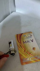 Lampu Bohlam depan LED 2 sisi ACDC lampu bebek H4 led Universal