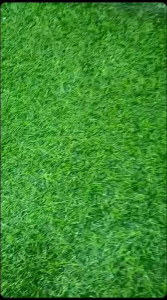 POPOK BAYI POPOK KAIN POPOK CUCU BAYI POPOK TALI PAKAIAN BAYI SNI
