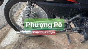 ⚡️FREESHIP⚡️ Pô Đam Cúp móc nỉ hơi VN tiếng ấm cho DREAM-CÚP-WAVE NHỎ ( đọc mô tả )