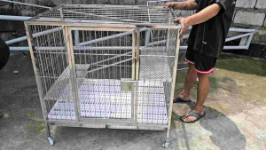 2×3×3 pure stainless 304 cat cage with 2layer and ladder